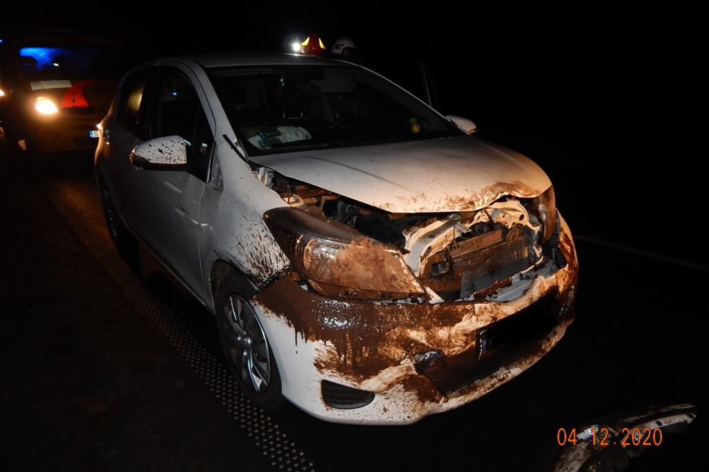 Noga z gazu. Dzikie zwierzęta na drodze