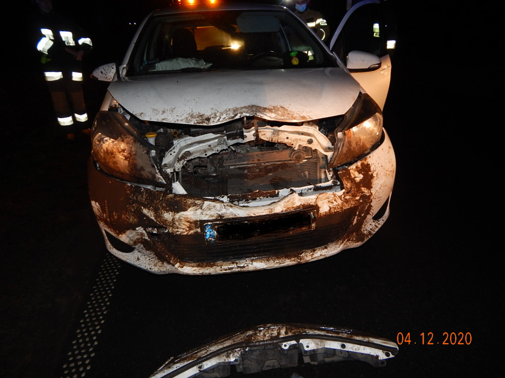 Noga z gazu. Dzikie zwierzęta na drodze