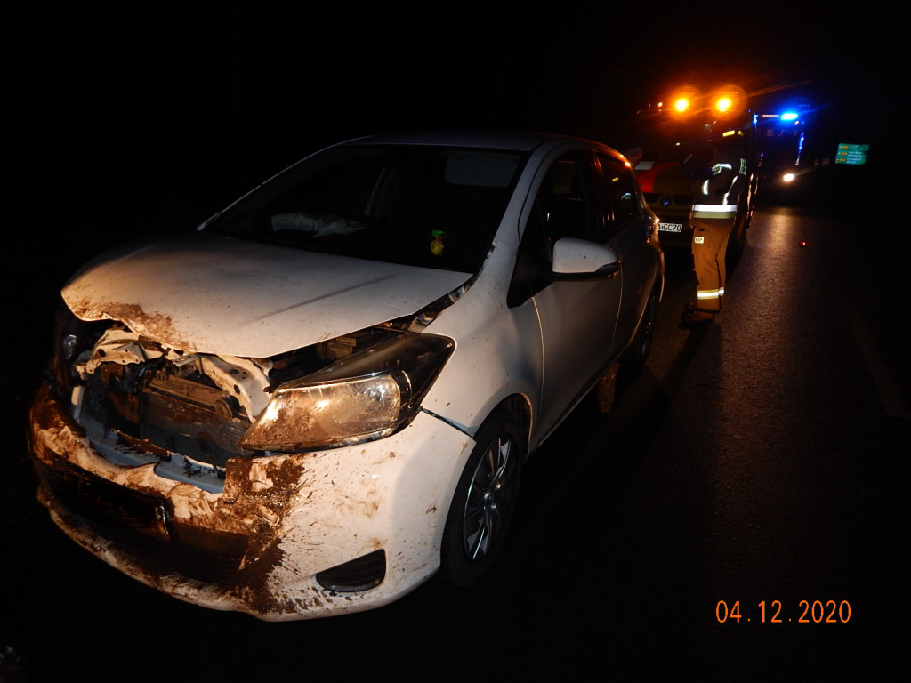 Noga z gazu. Dzikie zwierzęta na drodze