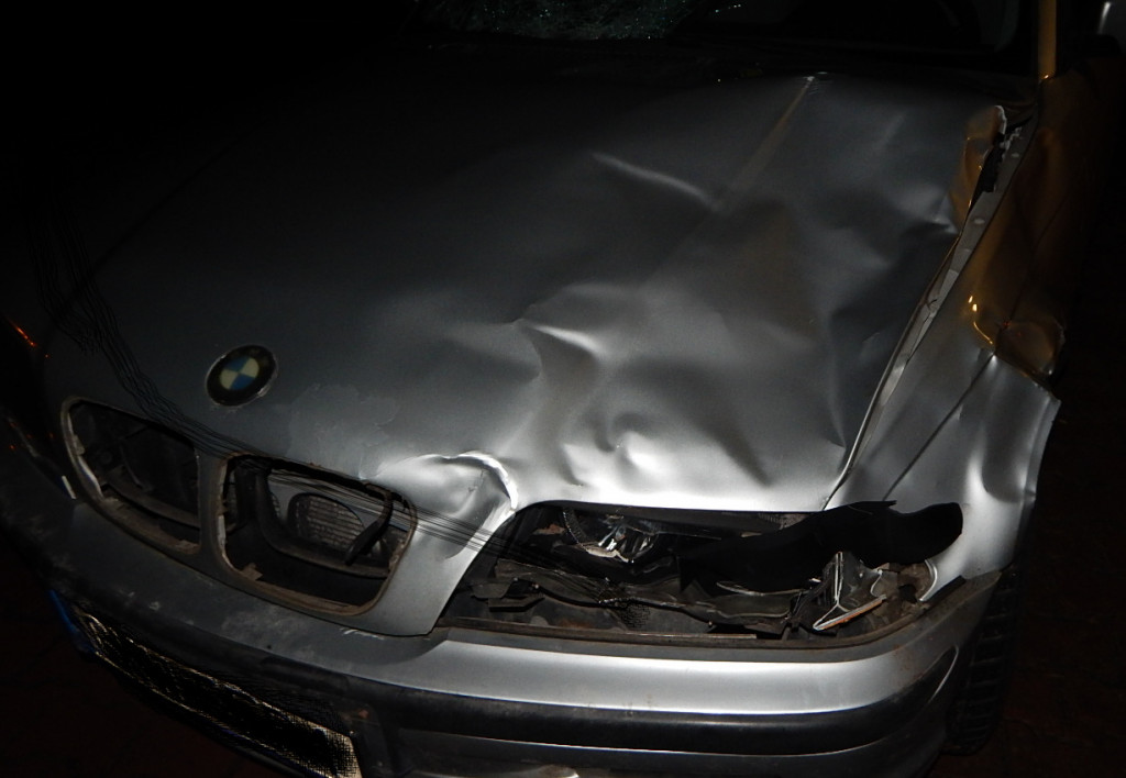 Noga z gazu. Dzikie zwierzęta na drodze