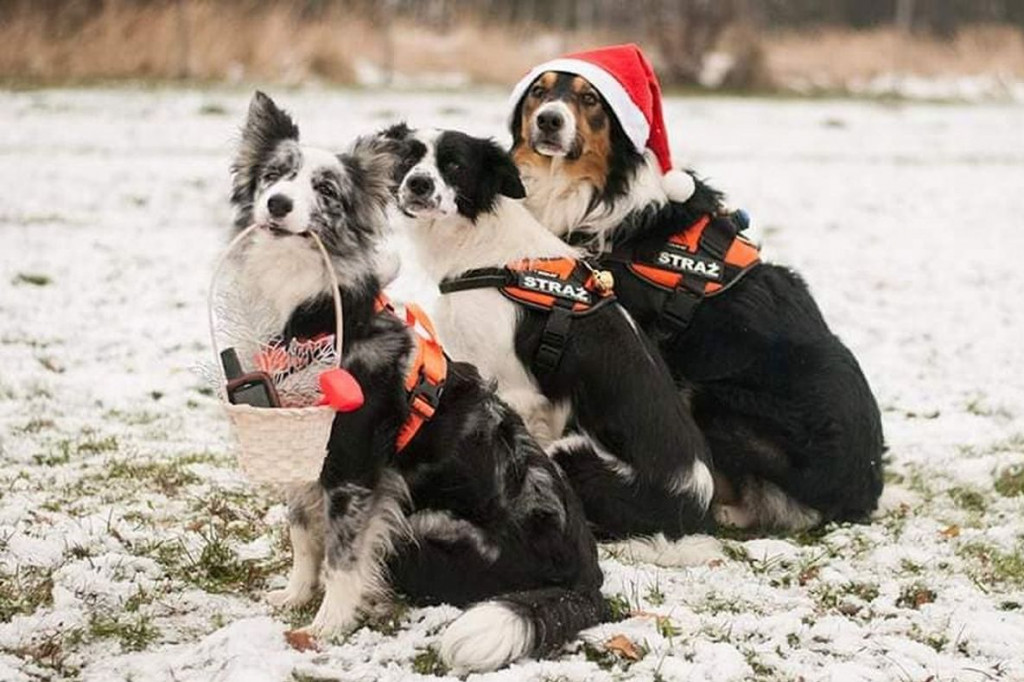 Mikołaj ruszył w trasę i rozdawał podarki