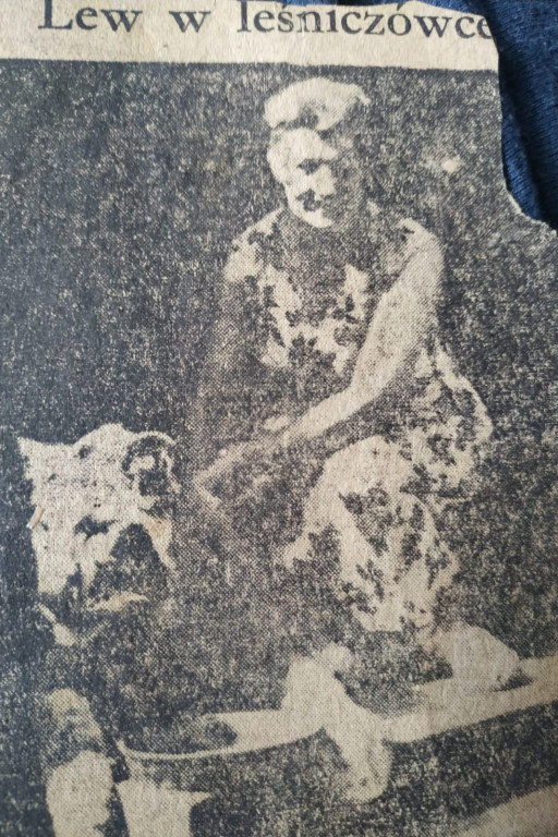 Jak lew Wacek odwiedzał Lasowice