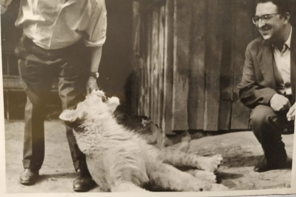 Jak lew Wacek odwiedzał Lasowice