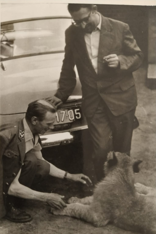 Jak lew Wacek odwiedzał Lasowice