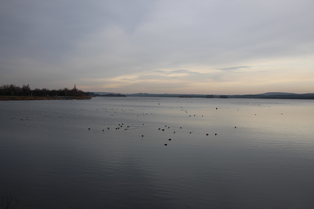 Pogoria na zimowy spacer. Który zbiornik wybrać?