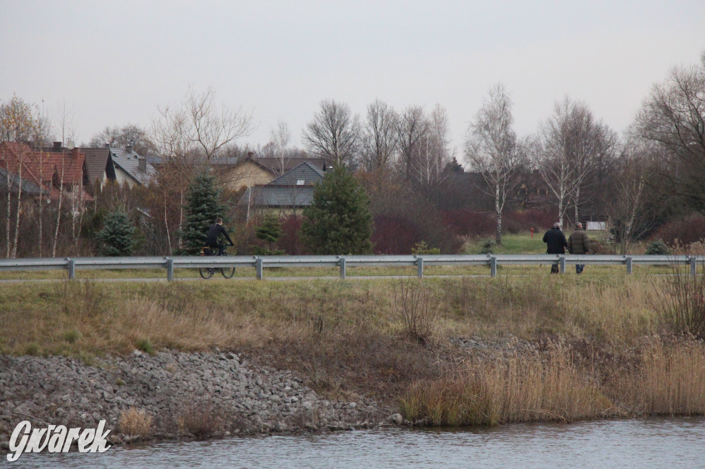 Pogoria na zimowy spacer. Który zbiornik wybrać?