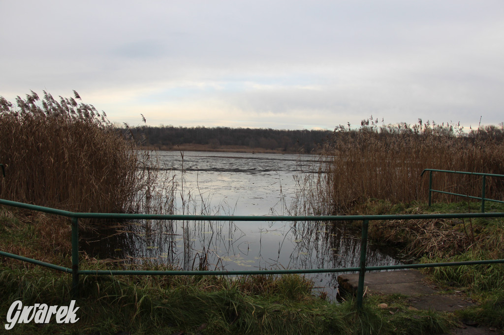 Pogoria na zimowy spacer. Który zbiornik wybrać?