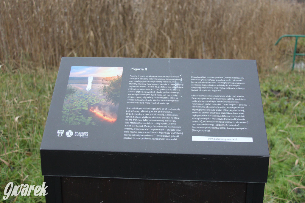 Pogoria na zimowy spacer. Który zbiornik wybrać?