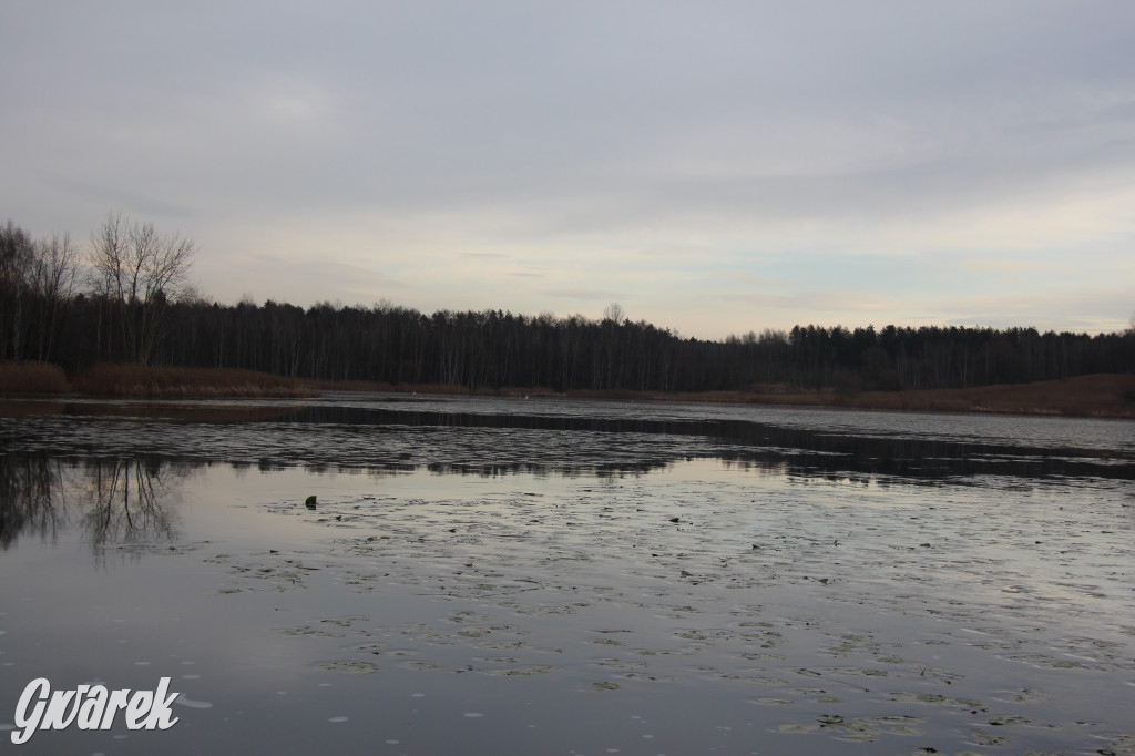 Pogoria na zimowy spacer. Który zbiornik wybrać?