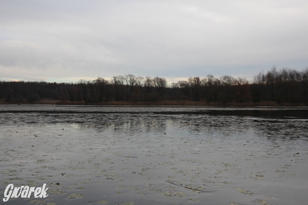 Pogoria na zimowy spacer. Który zbiornik wybrać?