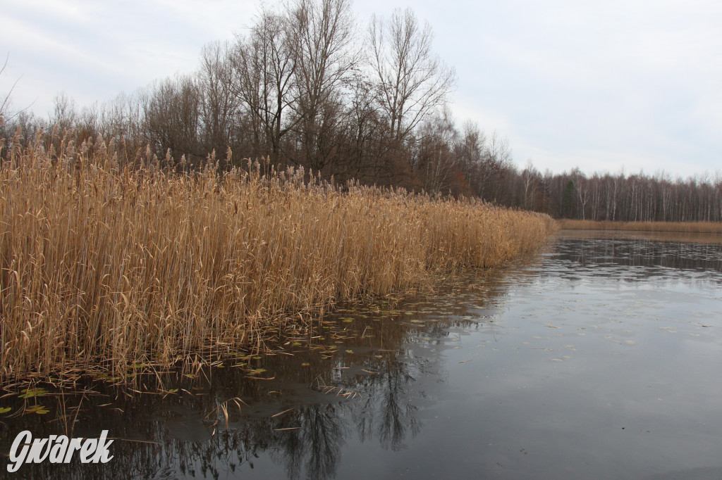 Pogoria na zimowy spacer. Który zbiornik wybrać?