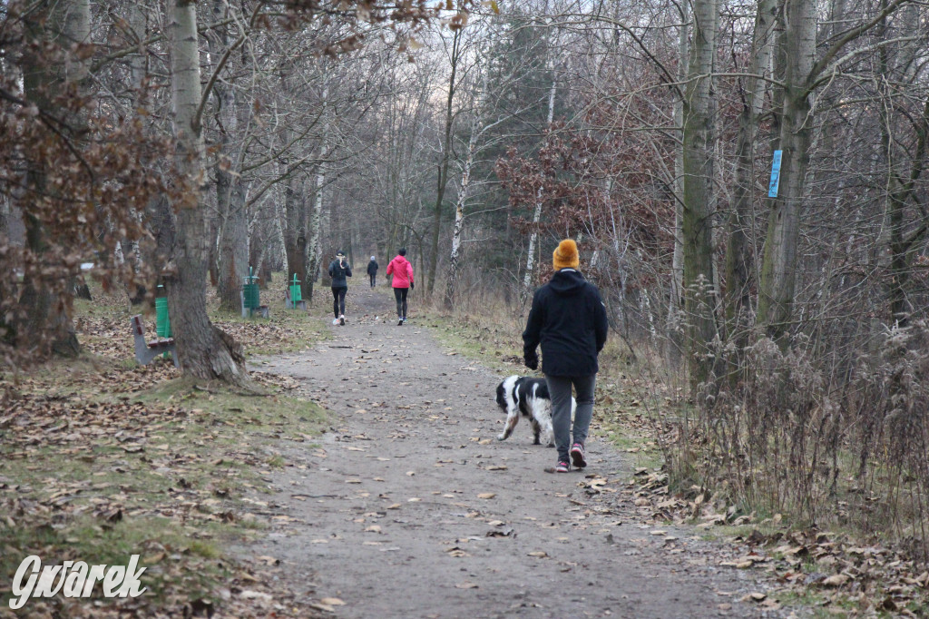 Pogoria na zimowy spacer. Który zbiornik wybrać?