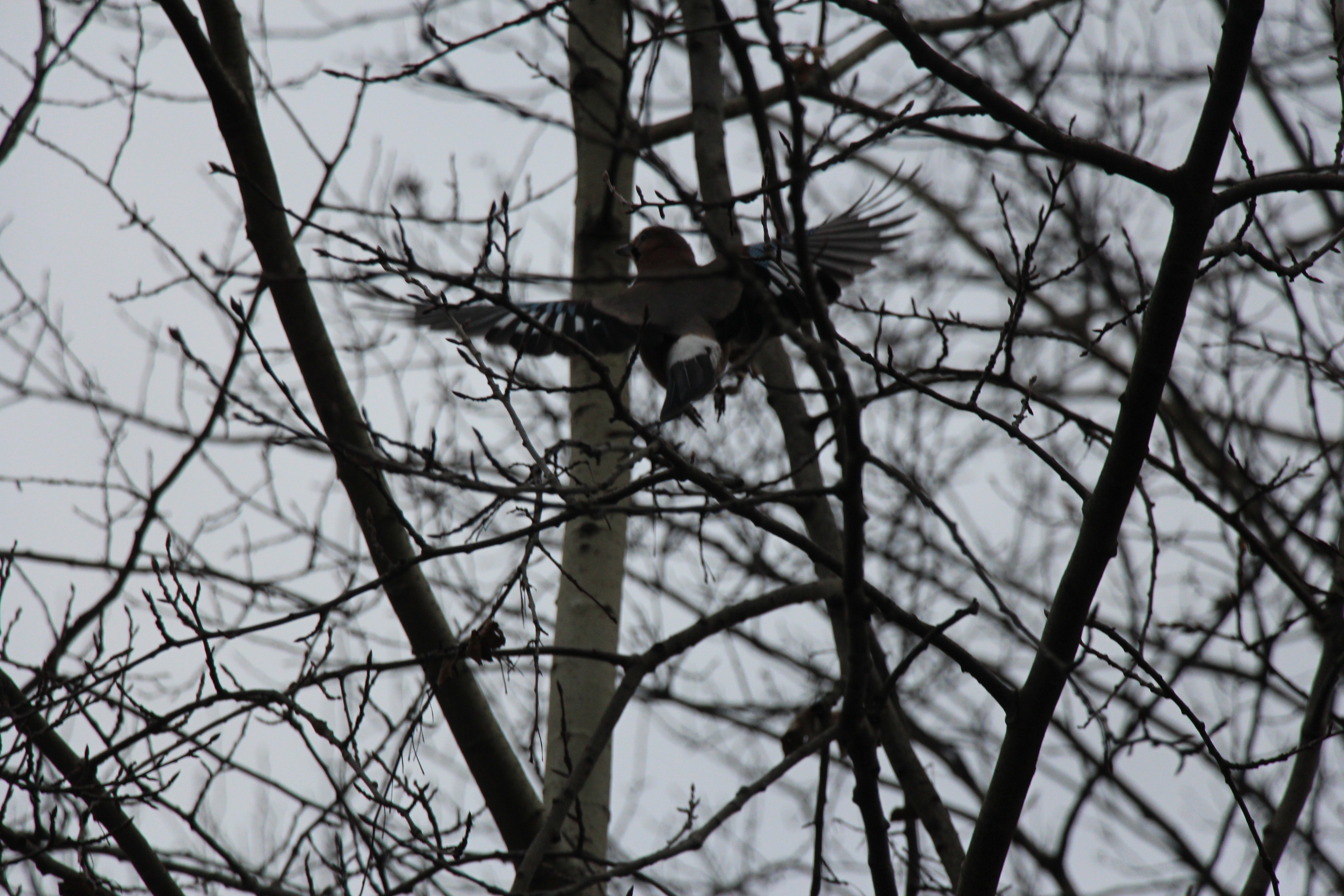 Pogoria na zimowy spacer. Który zbiornik wybrać?