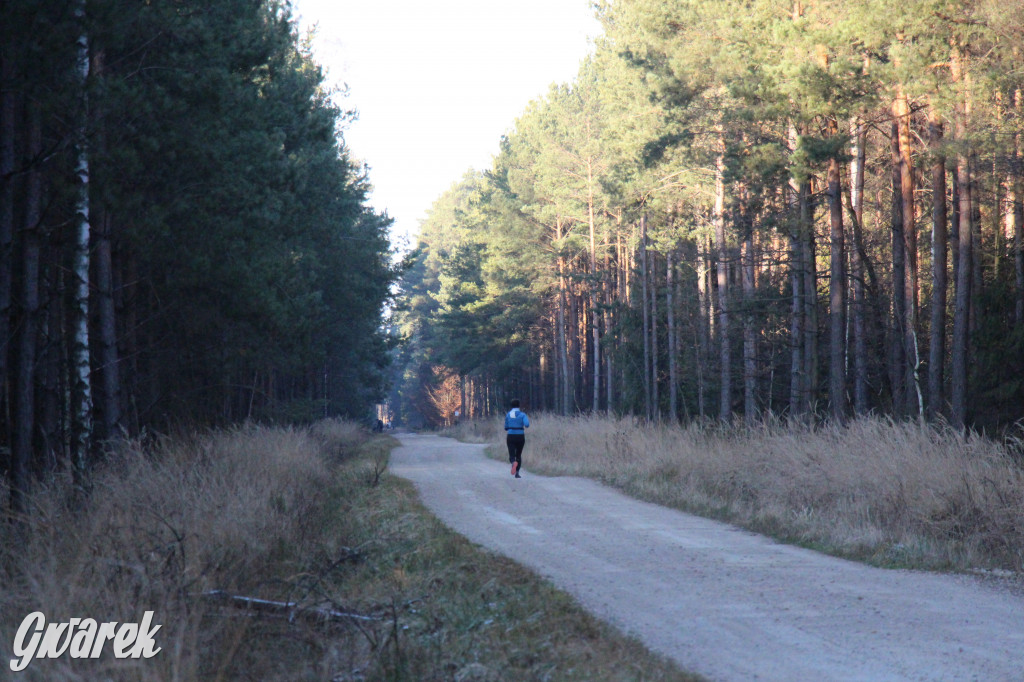 Tam zawsze jest pięknie. Lasy wokół Pniowca