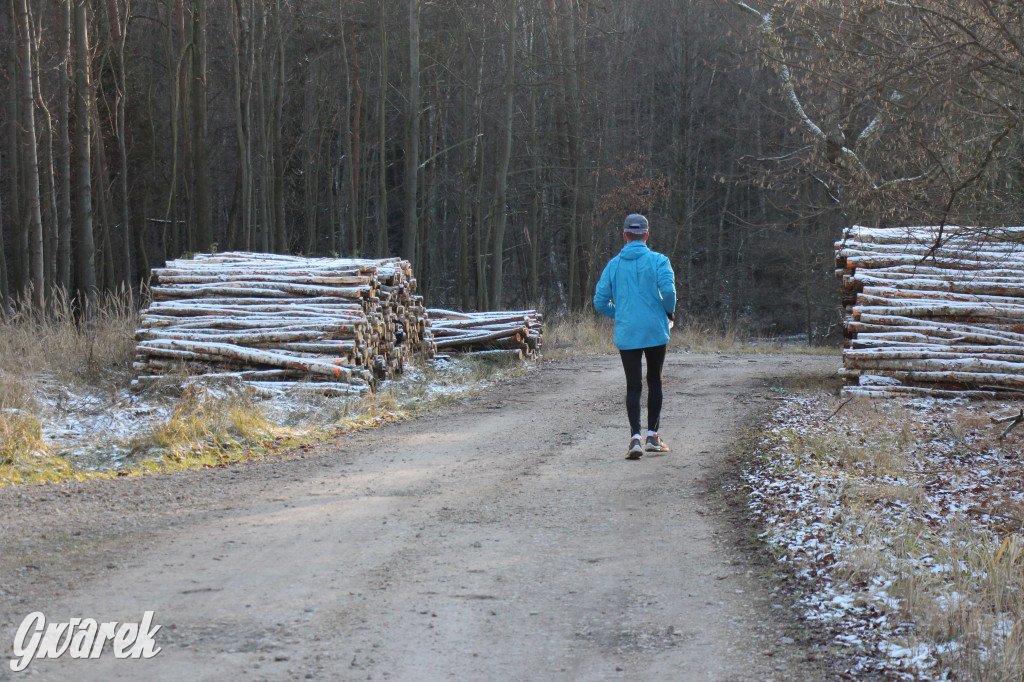 Tam zawsze jest pięknie. Lasy wokół Pniowca