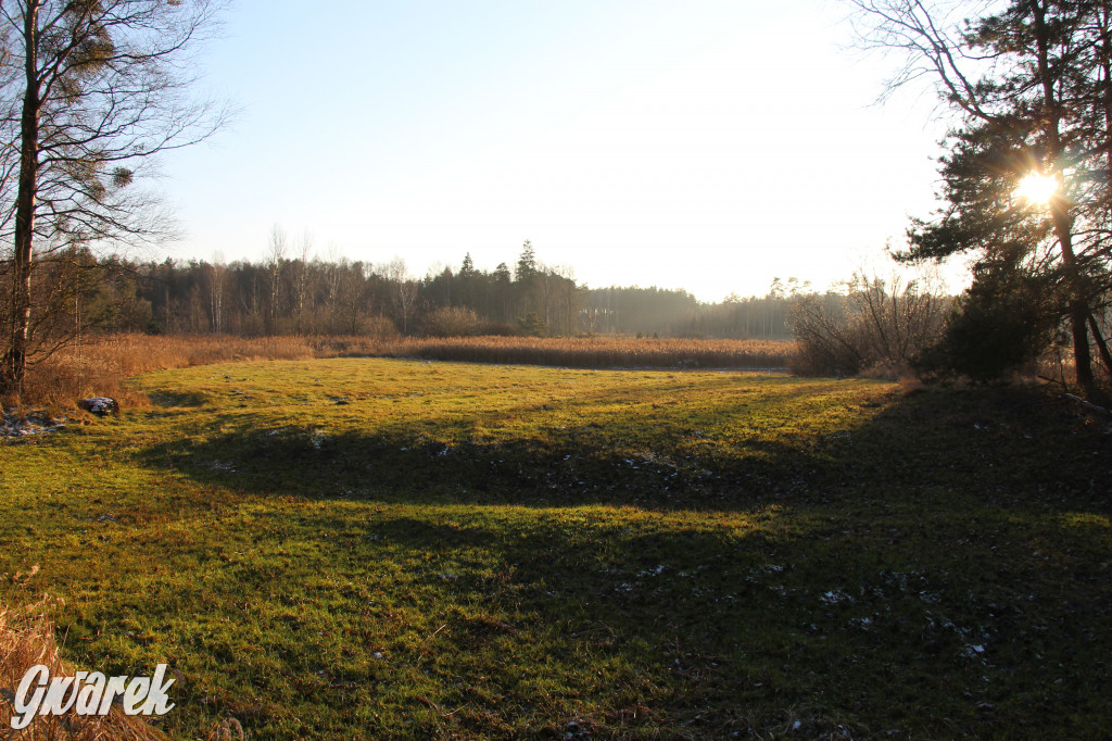 Tam zawsze jest pięknie. Lasy wokół Pniowca