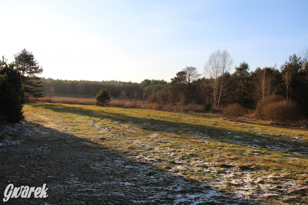 Tam zawsze jest pięknie. Lasy wokół Pniowca