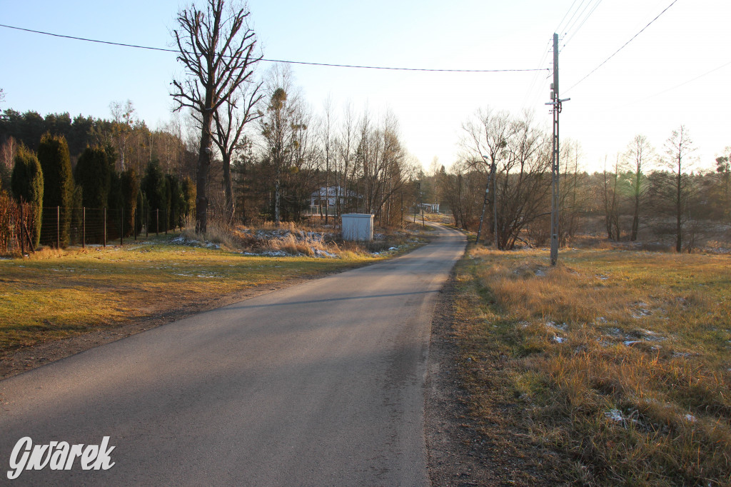 Tam zawsze jest pięknie. Lasy wokół Pniowca