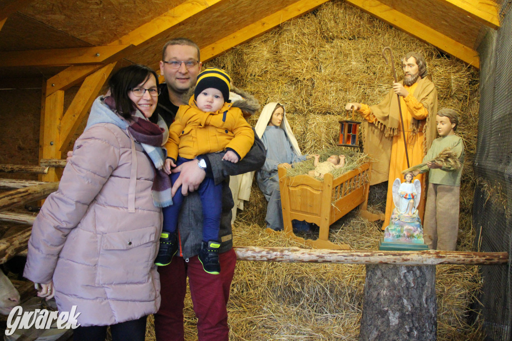 Świniowicka Betlyjka, czyli żywa szopka w Świniowicach