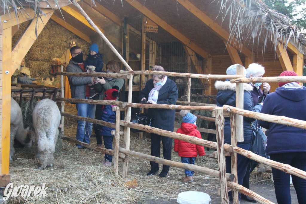 Świniowicka Betlyjka, czyli żywa szopka w Świniowicach