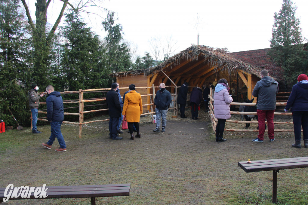 Świniowicka Betlyjka, czyli żywa szopka w Świniowicach