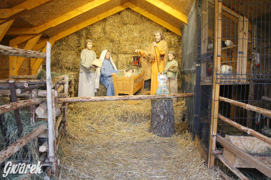 Świniowicka Betlyjka, czyli żywa szopka w Świniowicach
