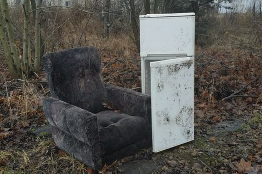 Mogli poczekać na odbiór gabarytów. Wyrzucili