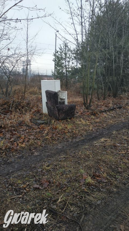 Mogli poczekać na odbiór gabarytów. Wyrzucili