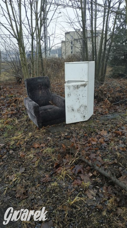 Mogli poczekać na odbiór gabarytów. Wyrzucili