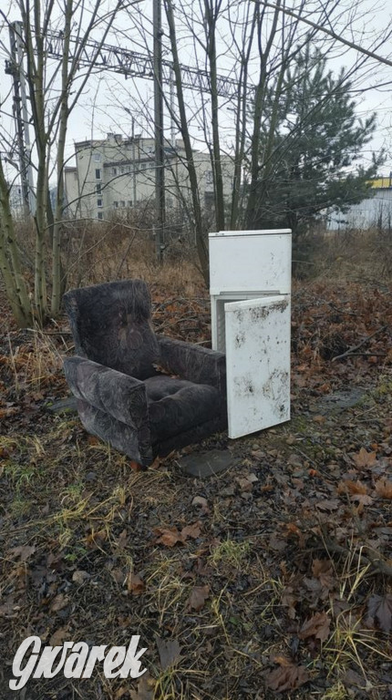 Mogli poczekać na odbiór gabarytów. Wyrzucili