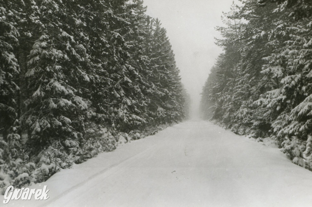 Tarnowskie Góry. Hu! Hu! Ha! Nasza zima zła?