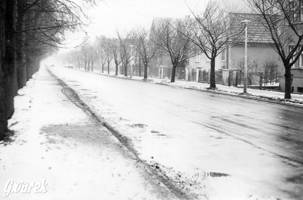 Tarnowskie Góry. Hu! Hu! Ha! Nasza zima zła?