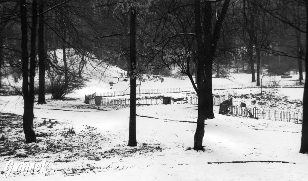 Tarnowskie Góry. Hu! Hu! Ha! Nasza zima zła?