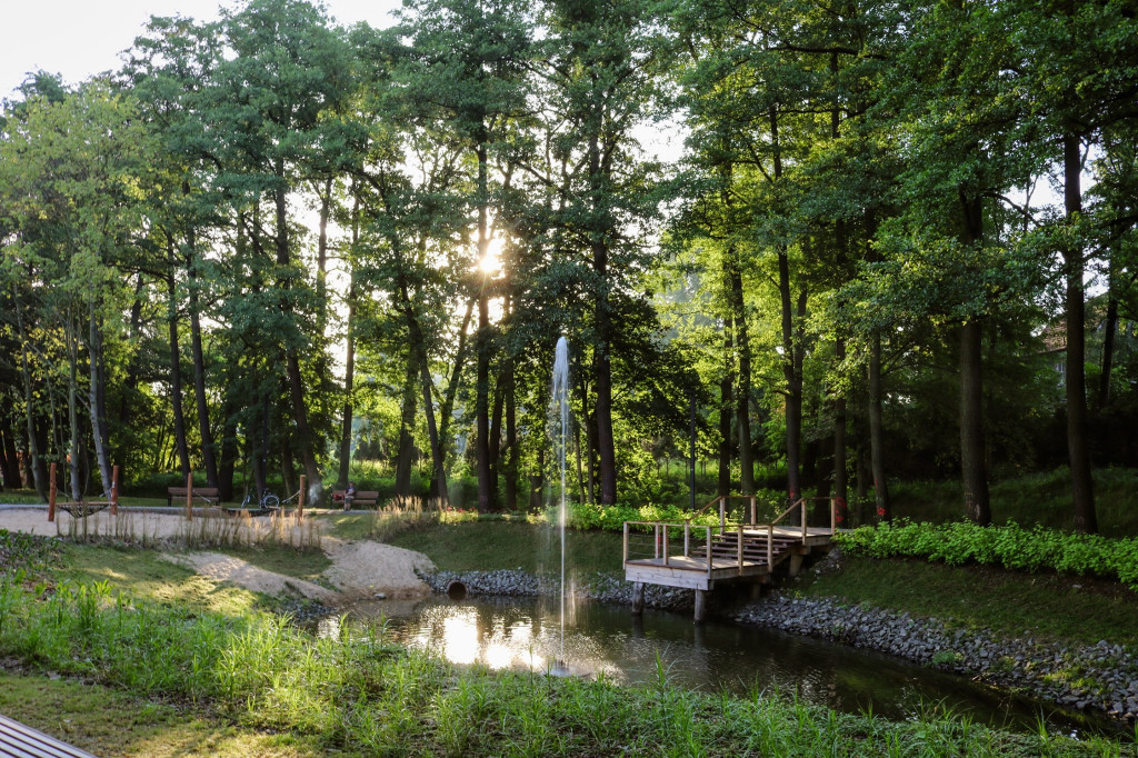 Lubliniec doceniony za zielony bulwar w prestiżowym konkursie