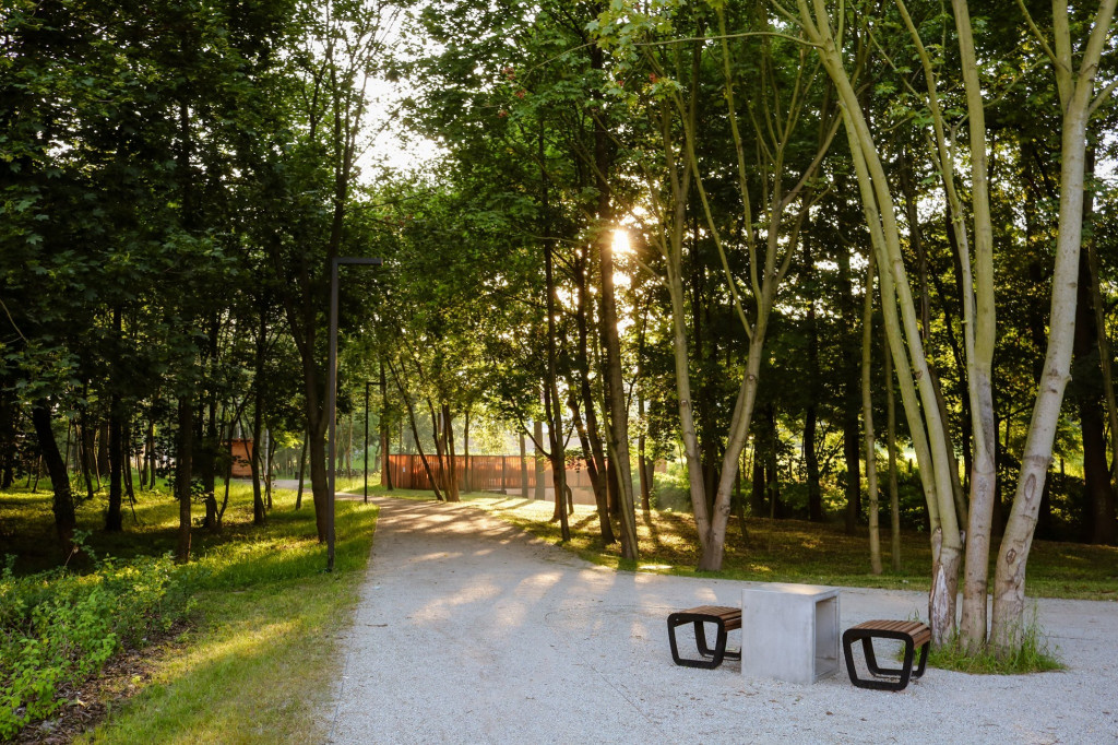 Lubliniec doceniony za zielony bulwar w prestiżowym konkursie