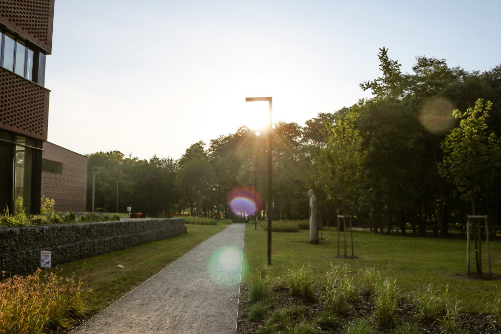 Lubliniec doceniony za zielony bulwar w prestiżowym konkursie
