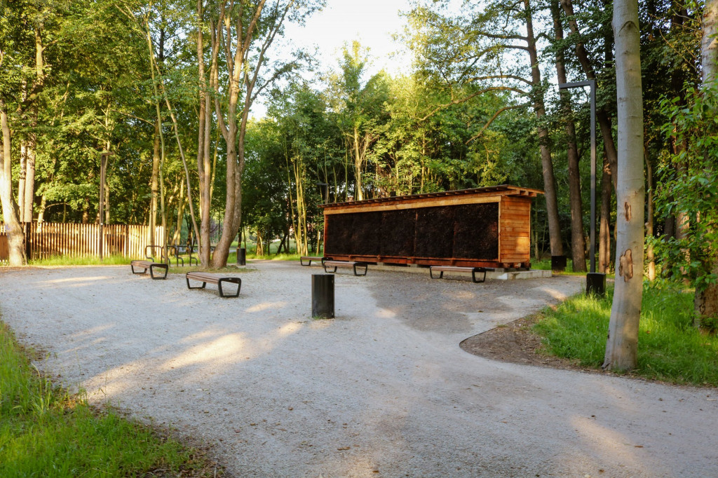 Lubliniec doceniony za zielony bulwar w prestiżowym konkursie