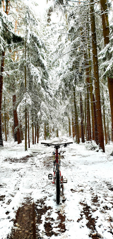 My się zimy nie boimy!