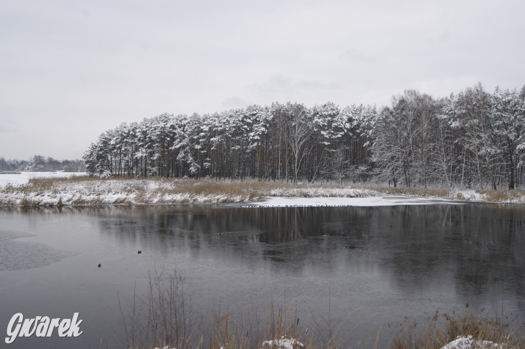 Kalety-Zielona w zimowej odsłonie