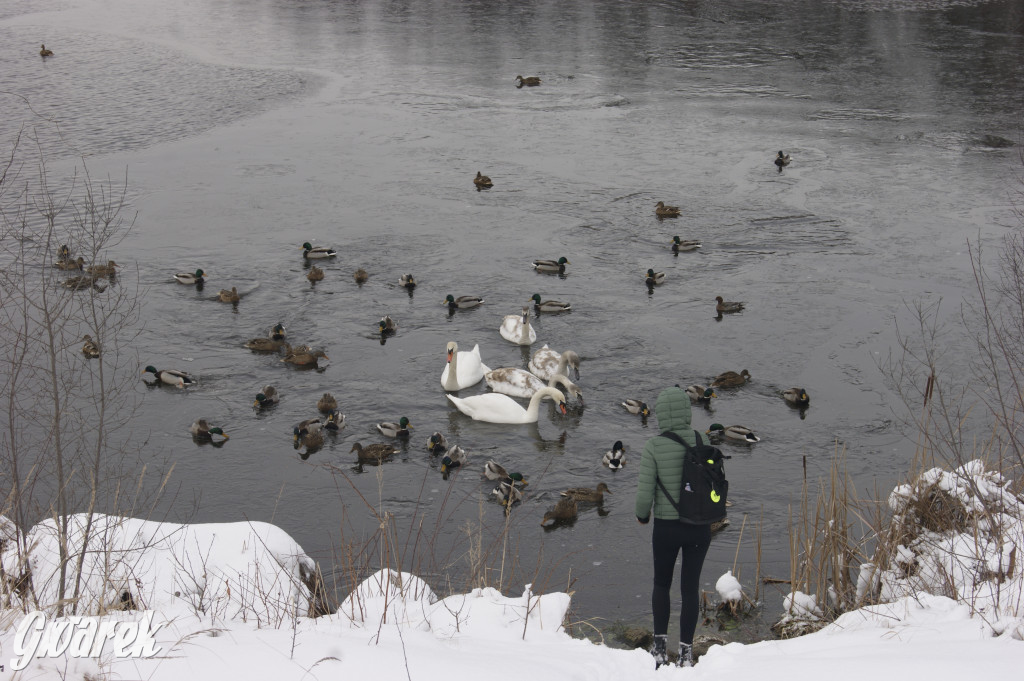 Kalety-Zielona w zimowej odsłonie