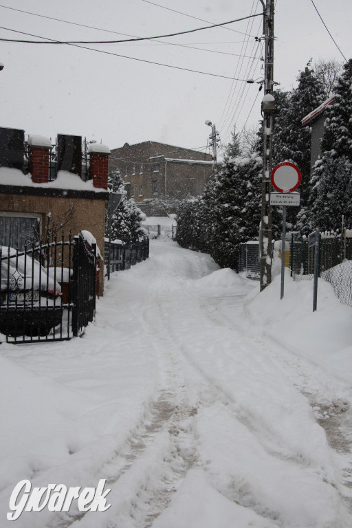 Rekordowe opady śniegu. Czy po waszej ulicy jechał już pług?