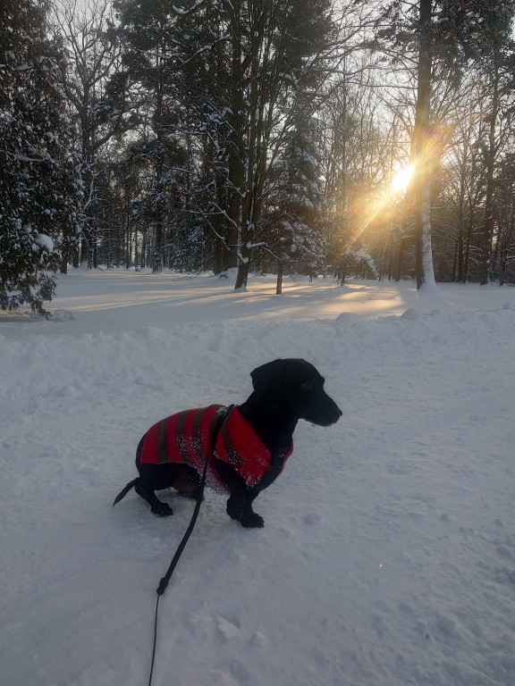 My się zimy nie boimy!