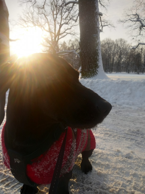 My się zimy nie boimy!