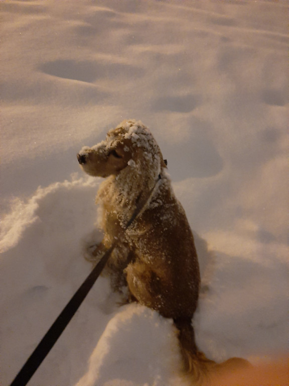 My się zimy nie boimy!