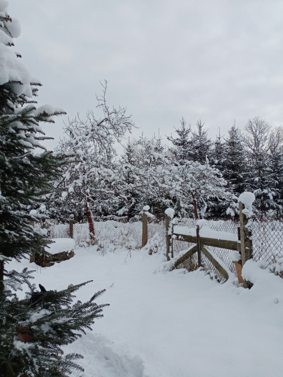 My się zimy nie boimy!