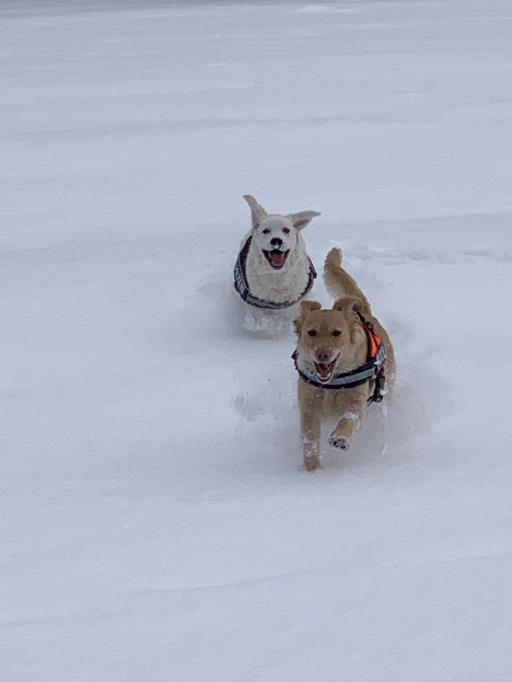 My się zimy nie boimy!