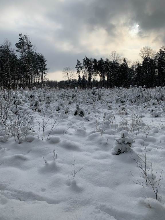 My się zimy nie boimy!