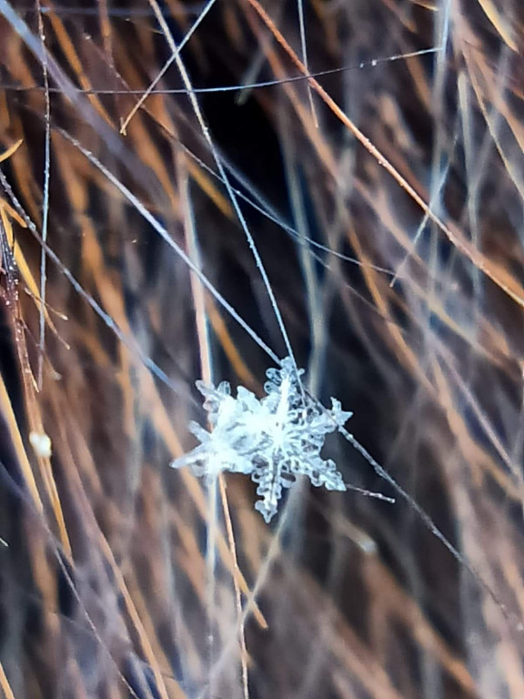 My się zimy nie boimy!