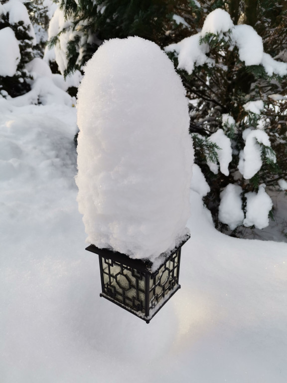 My się zimy nie boimy!