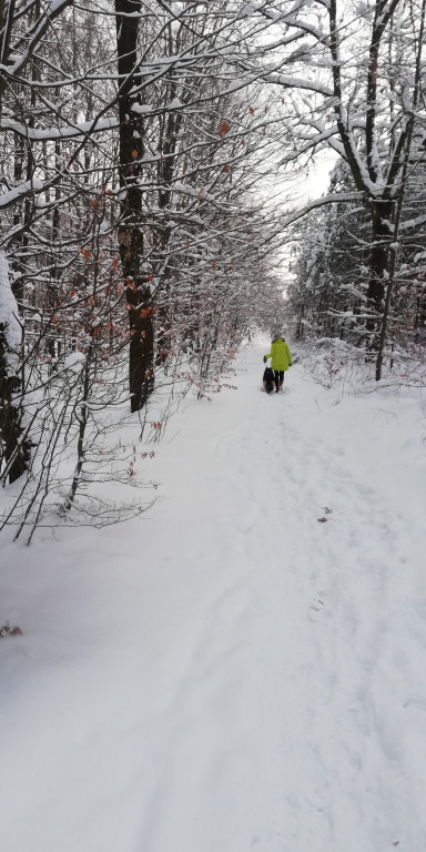 My się zimy nie boimy!